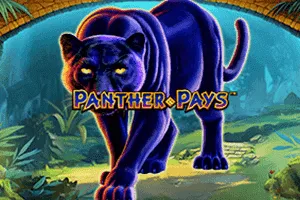 Panther Pays - XTRAPLAY88