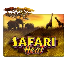 Joker123 : Safari Heat - XTRAPLAY88